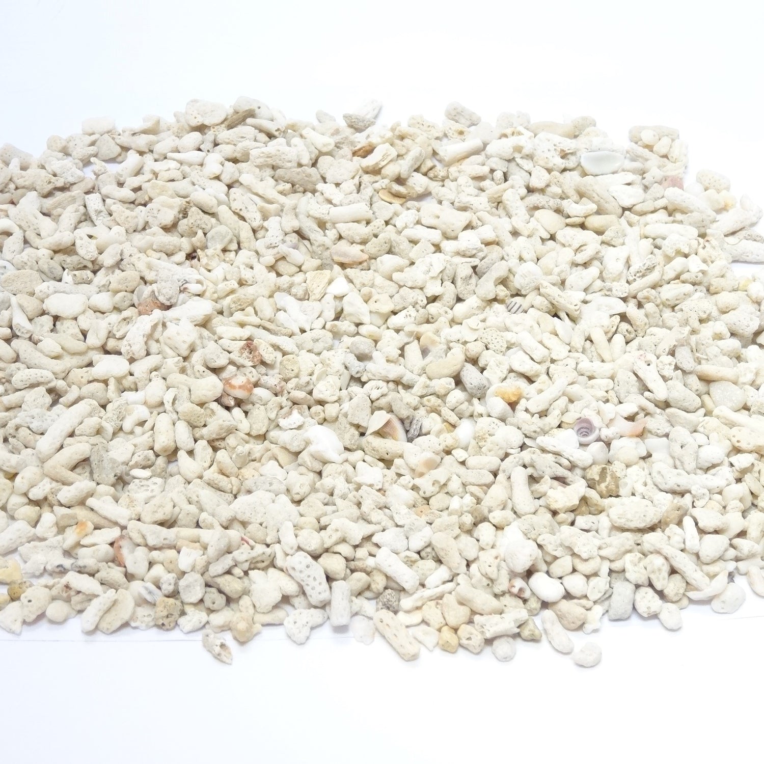 海の天然素材(貝殻・ヒトデ・珊瑚・ウニ殻・アーチン・ホワイトサンド・シーグラス)は、店舗ディスプレイ用やインテリアに人気です。 貝殻の繊細な美しさ、ヒトデの魅力的な形状、ウニ殻の個性溢れる模様、シャコ貝の瑞々しい輝き、サンゴ礁の生命力あふれる色彩、シーグラスの繊細な透明感。これらの自然素材をご提供し、あなたの創造力をかき立てます。 店舗ディスプレイ等に特化した、小さな貝殻から大きな貝殻まで、ハイクオリティでお手頃価格 アルフォンスアーチン ウニ殻 ウーチン スプートニック アルフォンス サンドラー ストーン 貝殻 工作 サンゴ フラワーアレンジメント 自然素材 卸売り 可愛い おしゃれ エモい インスタ映える 人気 おすすめ 美品 良品 スターフィッシュ サンゴ 工作 おすすめ 販売 ヒトデ 天然素材 ホワイトサンド ディスプレイ 店舗 海の天然素材 オンラインショップ シーグラス 水槽 インテリア 星の砂 売ってるところ 通販サイト アクアリウム 珊瑚 テラリウム エアプランツ 金魚 めだか ウィローモス 沈まない ネット通販 オンラインショップ