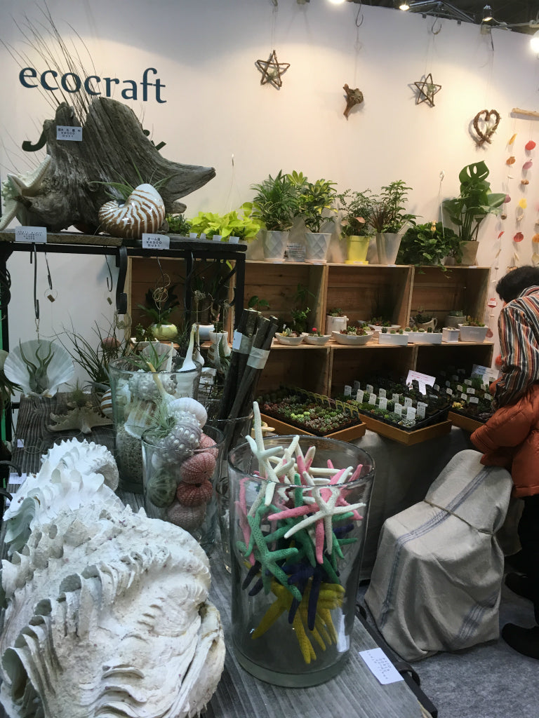 海の天然素材(貝殻・ヒトデ・珊瑚・ウニ殻・アーチン・ホワイトサンド・シーグラス)は、店舗ディスプレイ用やインテリアに人気です。 貝殻の繊細な美しさ、ヒトデの魅力的な形状、ウニ殻の個性溢れる模様、シャコ貝の瑞々しい輝き、サンゴ礁の生命力あふれる色彩、シーグラスの繊細な透明感。これらの自然素材をご提供し、あなたの創造力をかき立てます。 店舗ディスプレイ等に特化した、小さな貝殻から大きな貝殻まで、ハイクオリティでお手頃価格 アルフォンスアーチン ウニ殻 ウーチン スプートニック アルフォンス サンドラー ストーン 貝殻 工作 サンゴ フラワーアレンジメント 自然素材 卸売り 可愛い おしゃれ エモい インスタ映える 人気 おすすめ 美品 良品 スターフィッシュ サンゴ 工作 おすすめ 販売 ヒトデ 天然素材 ホワイトサンド ディスプレイ 店舗 海の天然素材 オンラインショップ シーグラス 水槽 インテリア 星の砂 売ってるところ 通販サイト アクアリウム 珊瑚 テラリウム エアプランツ 金魚 めだか ウィローモス 沈まない ネット通販 オンラインショップ