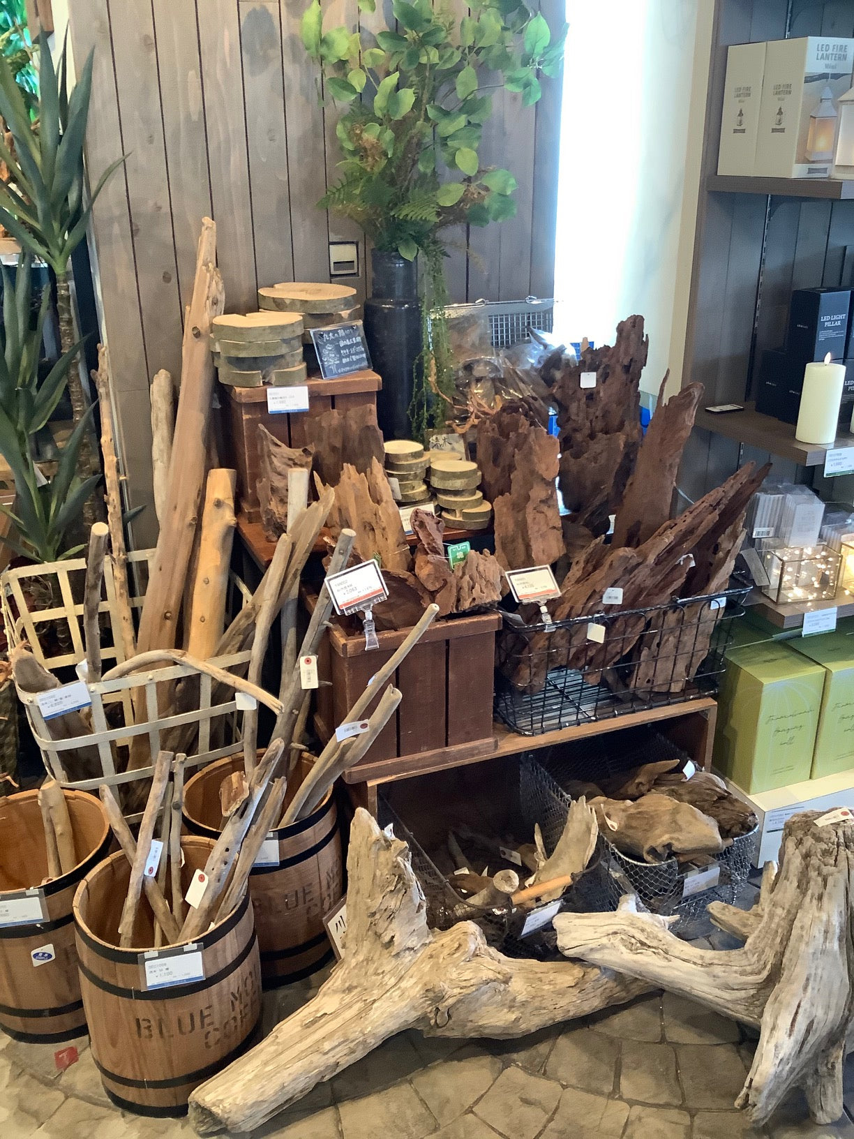 山の天然素材(流木ツリー・樹木・木の実・広葉樹・小枝・輪切り)は、店舗ディスプレイ用やインテリアに人気です。フラワーアレンジメントや盆栽など自然素材を活かしたアート作品におすすめです。アクアリウムやコースターなどの店舗用小物やおしゃれな壁掛け等のインテリアを演出できます。流木や樹木など工作・クラフト用天然素材を売ってるところはエコクラフトの自然素材専門通販サイトが格安 店舗ディスプレイ用 流木素材 インテリア 水槽 テラリウム エアプランツ 金魚 流木ツリー 広葉樹 販売 盆栽 樹木 小枝 フラワーアレンジメント 自然素材 天然素材 輪切り 卸売り 木材 売ってるところ オブジェ 置物 壁掛け 切り株 セール 価格相場 アクアリウム