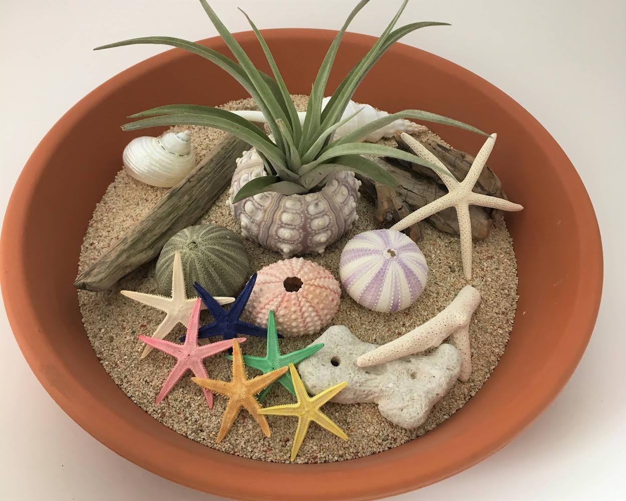 ナッツミックス ホワイトスターフィッシュ ミニ鉢 ビーチシェル かわいい 映える アーチン ウニ殻 シナマイロール 麻生地 麻 生地 岐阜 販売 エコクラフト 生地 フラワーアレンジメント リネン 自然素材 素材 シーナマイ 卸売り ラッピング ドライフラワー 天然素材 ラフィア 可愛い アート 工作 通販 ラフィアファイバー ジュート ヒトデ スターフィッシュ 流木 リサイクルガラスカレット 広葉樹の輪切り ドンゴロス 激安 人気 おすすめ 売れ筋 格安 インテリア 手作り で作る花 飾り 問屋 手芸 麻ひも ネットショップ オンラインショップ ネット通販 売っているお店 売っているところ 取扱い店