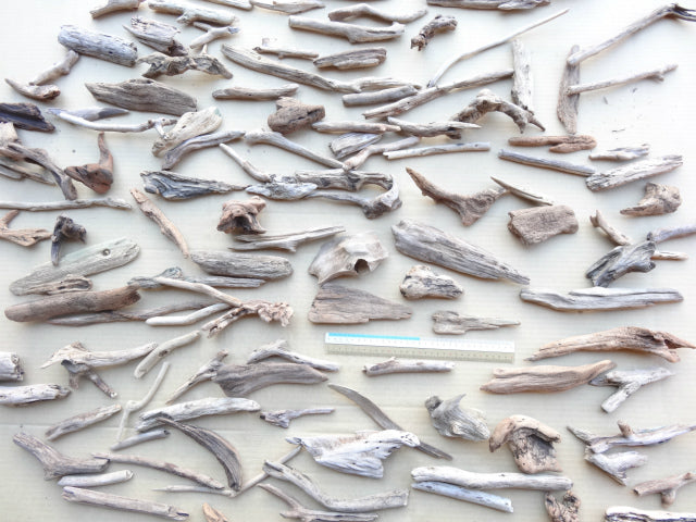 麻生地 ナッツミックス ホワイトスターフィッシュ ミニ鉢 ビーチシェル かわいい 映える アーチン ウニ殻 シナマイロール 生地 岐阜 販売 エコクラフト 生地 フラワーアレンジメント リネン 自然素材 素材 シーナマイ 卸売り ラッピング ドライフラワー 天然素材 ラフィア 可愛い アート 工作 通販 ラフィアファイバー ジュート ヒトデ スターフィッシュ 流木 リサイクルガラスカレット 広葉樹の輪切り ドンゴロス 激安 人気 おすすめ 売れ筋 格安 インテリア 手作り で作る花 飾り 問屋 手芸 麻ひも ネットショップ オンラインショップ ネット通販 売っているお店 売っているところ 取扱い店