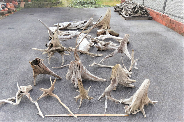 麻生地 ナッツミックス ホワイトスターフィッシュ ミニ鉢 ビーチシェル かわいい 映える アーチン ウニ殻 シナマイロール 生地 岐阜 販売 エコクラフト 生地 フラワーアレンジメント リネン 自然素材 素材 シーナマイ 卸売り ラッピング ドライフラワー 天然素材 ラフィア 可愛い アート 工作 通販 ラフィアファイバー ジュート ヒトデ スターフィッシュ 流木 リサイクルガラスカレット 広葉樹の輪切り ドンゴロス 激安 人気 おすすめ 売れ筋 格安 インテリア 手作り で作る花 飾り 問屋 手芸 麻ひも ネットショップ オンラインショップ ネット通販 売っているお店 売っているところ 取扱い店