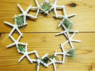 ナッツミックス ホワイトスターフィッシュ ミニ鉢 ビーチシェル かわいい 映える アーチン ウニ殻 シナマイロール 麻生地 麻 生地 岐阜 販売 エコクラフト 生地 フラワーアレンジメント リネン 自然素材 素材 シーナマイ 卸売り ラッピング ドライフラワー 天然素材 ラフィア 可愛い アート 工作 通販 ラフィアファイバー ジュート ヒトデ スターフィッシュ 流木 リサイクルガラスカレット 広葉樹の輪切り ドンゴロス 激安 人気 おすすめ 売れ筋 格安 インテリア 手作り で作る花 飾り 問屋 手芸 麻ひも ネットショップ オンラインショップ ネット通販 売っているお店 売っているところ 取扱い店