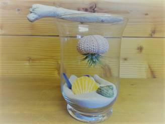 ナッツミックス ホワイトスターフィッシュ ミニ鉢 ビーチシェル かわいい 映える アーチン ウニ殻 シナマイロール 麻生地 麻 生地 岐阜 販売 エコクラフト 生地 フラワーアレンジメント リネン 自然素材 素材 シーナマイ 卸売り ラッピング ドライフラワー 天然素材 ラフィア 可愛い アート 工作 通販 ラフィアファイバー ジュート ヒトデ スターフィッシュ 流木 リサイクルガラスカレット 広葉樹の輪切り ドンゴロス 激安 人気 おすすめ 売れ筋 格安 インテリア 手作り で作る花 飾り 問屋 手芸 麻ひも ネットショップ オンラインショップ ネット通販 売っているお店 売っているところ 取扱い店