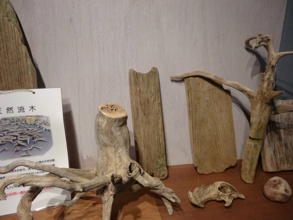 店舗ディスプレイ用 流木素材 インテリア 水槽 テラリウム エアプランツ 金魚 流木ツリー 広葉樹 販売 盆栽 樹木 小枝 フラワーアレンジメント 自然素材 天然素材 輪切り 卸売り 木材 売ってるところ オブジェ 置物 壁掛け 切り株 セール 価格相場 アクアリウム コースター めだか ウィローモス 沈まない 夏休み工作 ネット通販 オンラインショップ おしゃれ 店舗 エアープランツ 人気 入手方法 熱帯魚 水草 アート おすすめ 小さめ オブジェ スティック 水槽 安い 部屋に飾りたい まとめ売り 流木 販売 岐阜 枝 盆栽 水槽 花台 アクアリウム フラワーアレンジメント ドライフラワー 壁掛け 棒 自然素材 素材 川 卸売り 海 幹 材料 天然 根っこ アート 工作 通販 アクアリウム 枝 ガーランド 人気 おすすめ 売れ筋 格安 インテリア ガーデニング オブジェ 大型 ゴーストウッド 販売 根 ミニ 小さい 大きい