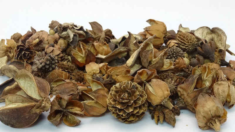 ナッツミックス ホワイトスターフィッシュ ミニ鉢 ビーチシェル かわいい 映える アーチン ウニ殻 シナマイロール 麻生地 麻 生地 岐阜 販売 エコクラフト 生地 フラワーアレンジメント リネン 自然素材 素材 シーナマイ 卸売り ラッピング ドライフラワー 天然素材 ラフィア 可愛い アート 工作 通販 ラフィアファイバー ジュート ヒトデ スターフィッシュ 流木 リサイクルガラスカレット 広葉樹の輪切り ドンゴロス 激安 人気 おすすめ 売れ筋 格安 インテリア 手作り で作る花 飾り 問屋 手芸 麻ひも ネットショップ オンラインショップ ネット通販 売っているお店 売っているところ 取扱い店