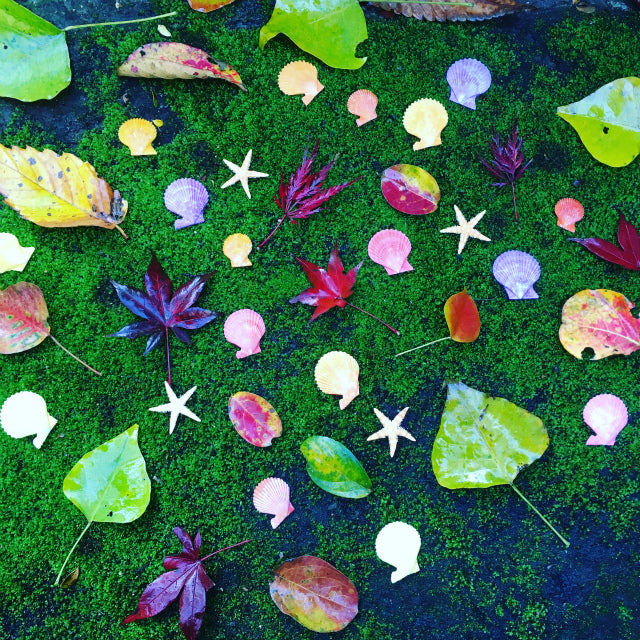 麻生地 麻 生地 岐阜 販売 エコクラフト 生地ナッツミックス ホワイトスターフィッシュ ミニ鉢 ビーチシェル かわいい 映える アーチン ウニ殻 シナマイロール フラワーアレンジメント リネン 自然素材 素材 シーナマイ 卸売り ラッピング ドライフラワー 天然素材 ラフィア 可愛い アート 工作 通販 ラフィアファイバー ジュート ヒトデ スターフィッシュ 流木 リサイクルガラスカレット 広葉樹の輪切り ドンゴロス 激安 人気 おすすめ 売れ筋 格安 インテリア 手作り で作る花 飾り 問屋 手芸 麻ひも ネットショップ オンラインショップ ネット通販 売っているお店 売っているところ 取扱い店