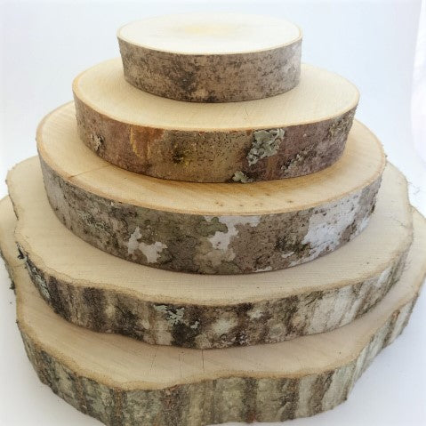 広葉樹 販売 エコクラフト 樹木 小枝 フラワーアレンジメント 棒 雑貨 自然素材 輪切り 卸売り 木 木材 材料 天然素材 コースター ウッドキューブ キウイツル アート工作 通販 おしゃれ 綺麗 植物 アクアリウム エアープランツ 枝 ガーランド 人気 売れ筋 おすすめ 激安 インテリア 手づくり ガーデニング オブジェ スティック 良品