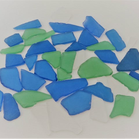 シーグラス 貝殻 貝 エコクラフト 岐阜 工作 サンゴ フラワーアレンジメント ハワイアン 雑貨 自然素材 素材 卸売り 二枚貝 巻貝 天然 ヒドデ スターフィッシュ 通信販売 通販 サンゴ礁 可愛い おしゃれ 綺麗 貝殻アクセサリー 人気 おすすめ 売れ筋 格安 アウトレット 高品質 美品 shell 良品